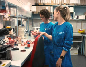 Bachelor of Biomedical Science – University of Tasmania