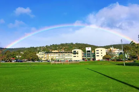 utas6