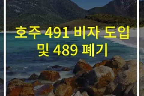 491 비자