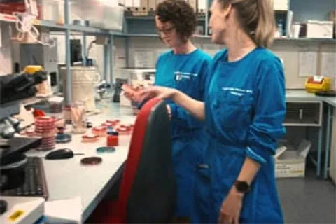 bio