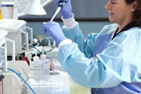 lab
